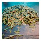 Western Immortal - Organic Dragonwell Tea - loose tea | Be So Well